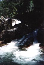fotovera4.jpg (8150 bytes)